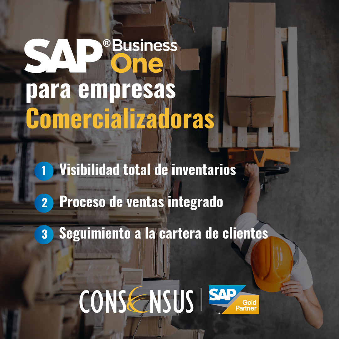 SAP Business One |Consensus - Sector Comercio