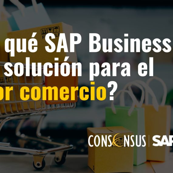 SAP Business One para el Sector Comercio